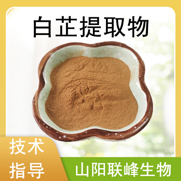 白芷提取物 10：1浓缩粉 浸膏 食品原料 植物萃取 水溶好