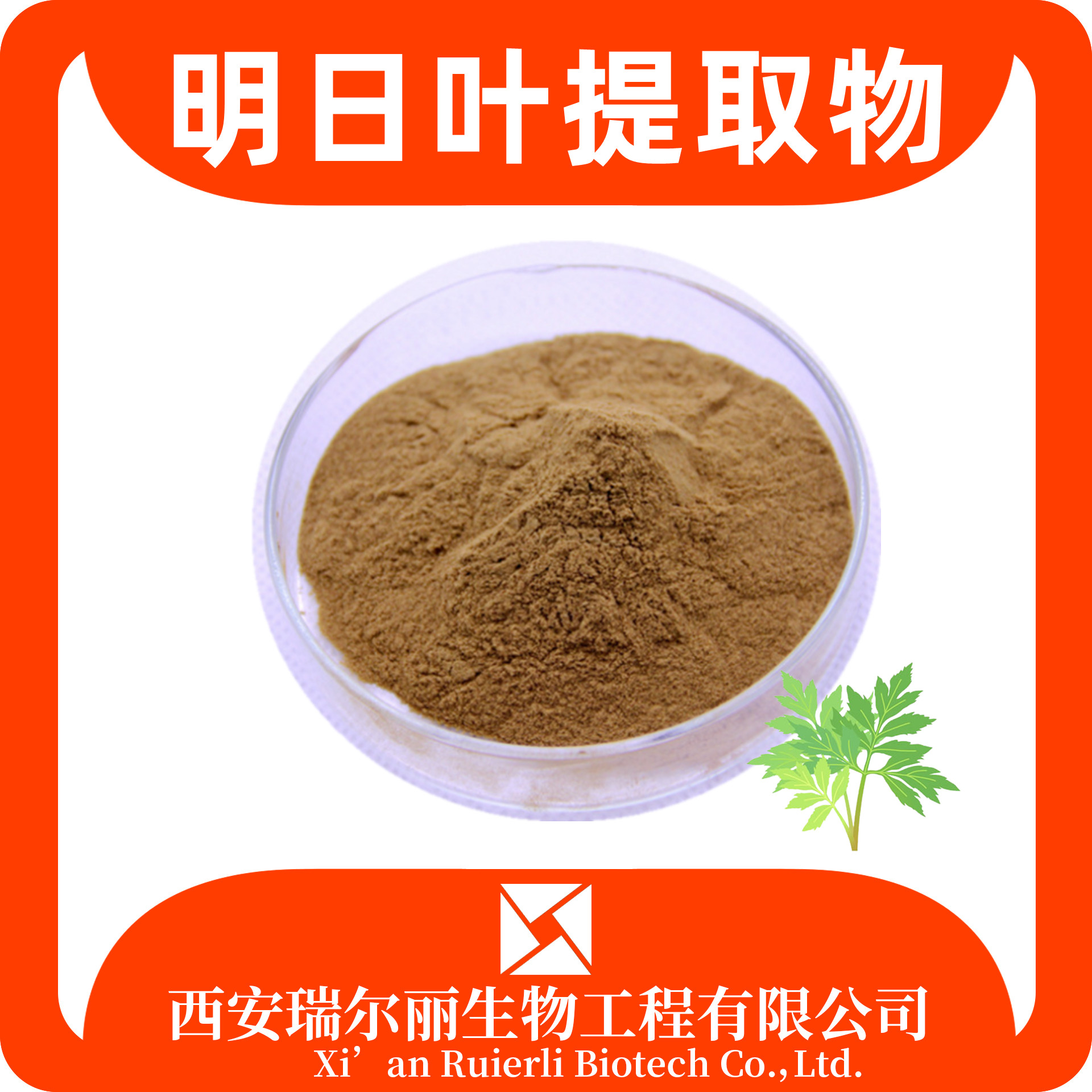 明日叶提取物 水溶明日叶粉 速溶浓缩粉 SC证 可定制 源头工厂