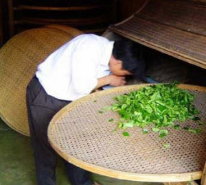 天禄茶庄