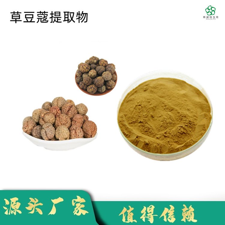 斯诺特 草豆蔻提取物 喷干粉 80目 水溶性好 无杂质