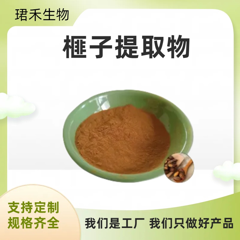 榧子提取物 水溶性榧子粉10:1 比例浓缩萃取 珺禾生物