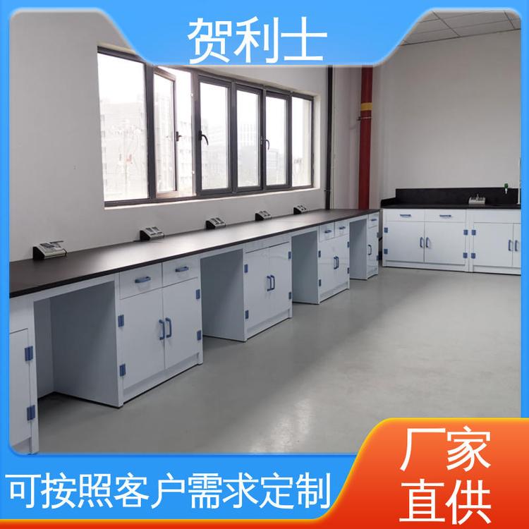 贺利士 pp实验室边台 PP化学实验台 按需定制 适用有机实验室