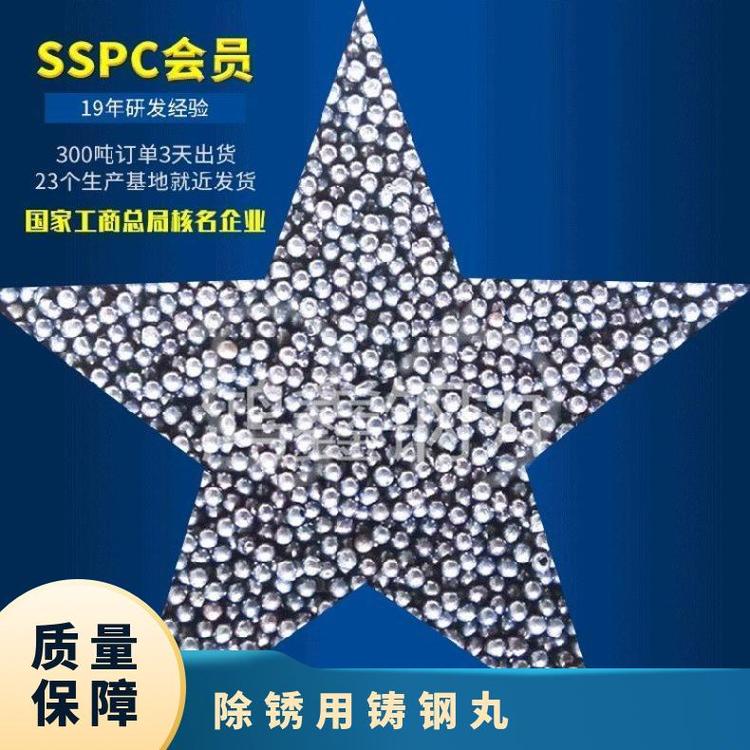 除锈产品铸钢丸 多规格可选钢丸钢砂零售批发厂家鸿鑫