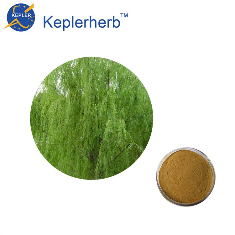 水杨甙15% HPLC检测 出口欧美标准 白柳皮提取物 开普勒生物