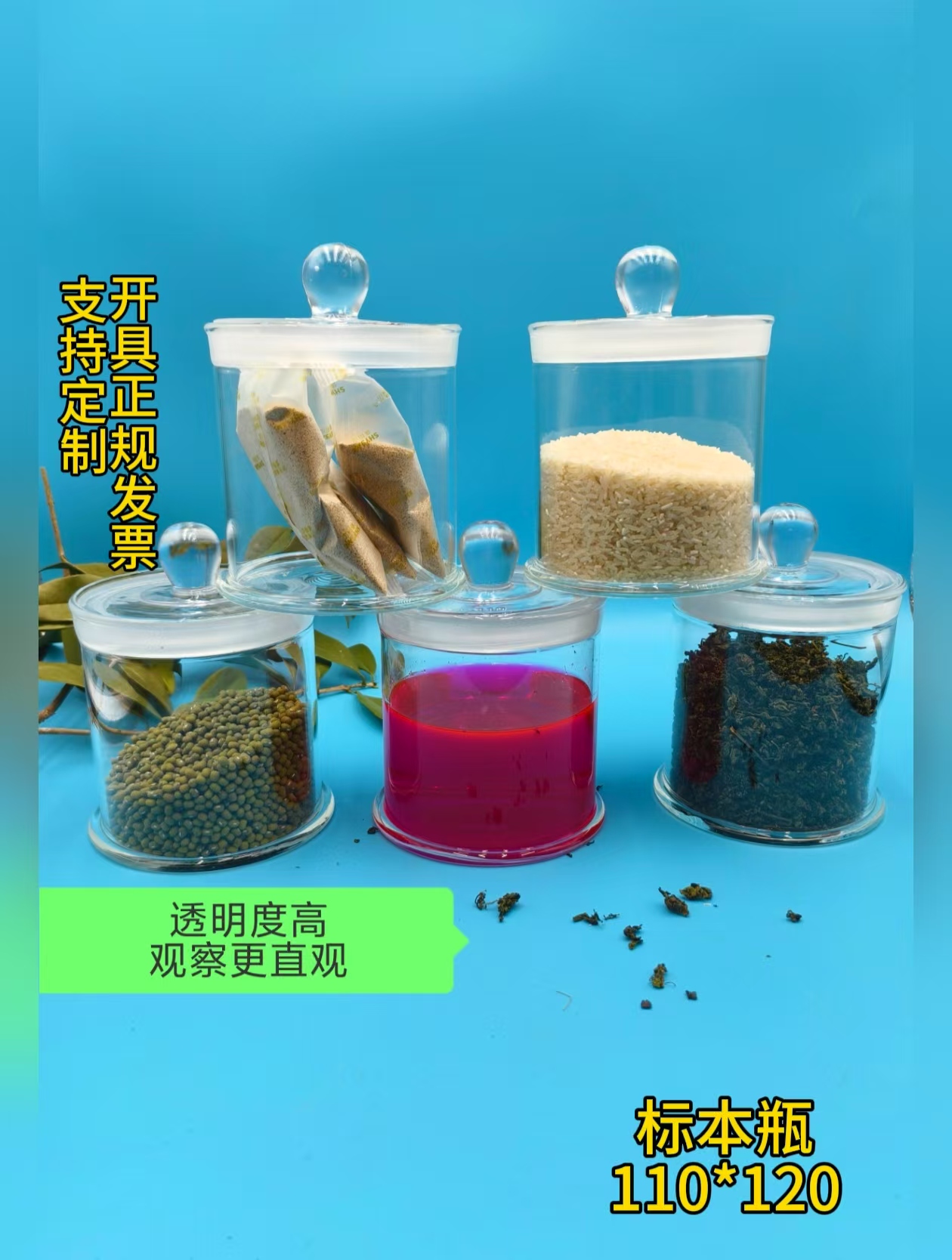 厂家批发加厚透明玻璃标本瓶缸植物样品瓶展示瓶