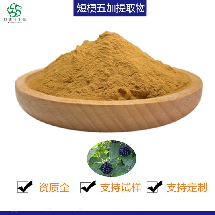 斯诺特 短梗五加提取物 比例规格 浓缩粉 新资源食品原料
