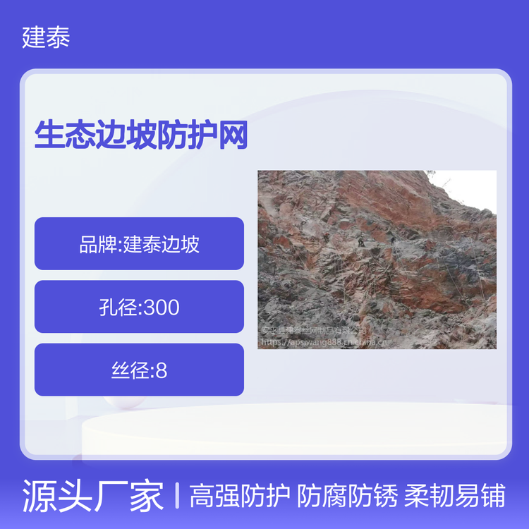 生态边坡防护网 aps覆盖式网 pps被动护坡网 新型防护产品