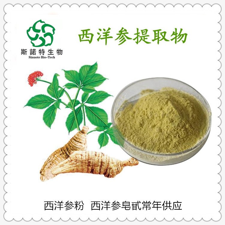 斯诺特 西洋参提取物 水溶原料 精细粉末 过80目筛