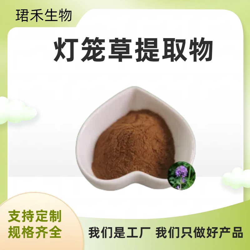 灯笼草提取物 水溶粉/浸膏 植物提取 喷雾干燥 多规格可定制