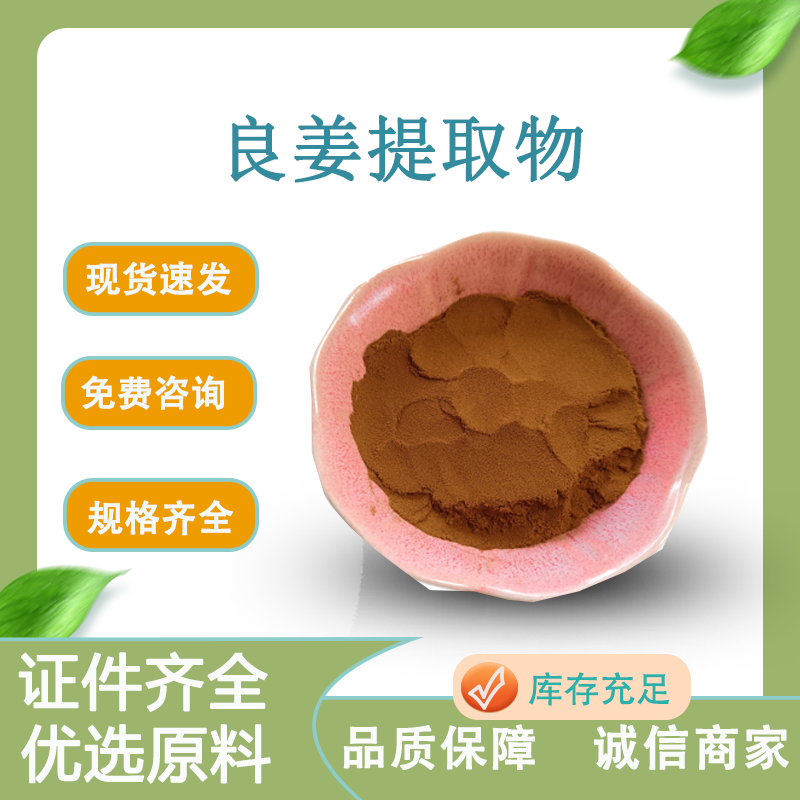 高良姜提取物 风姜萃取粉 姜辣素 喷雾干燥 浓缩调味料 10：1食品级