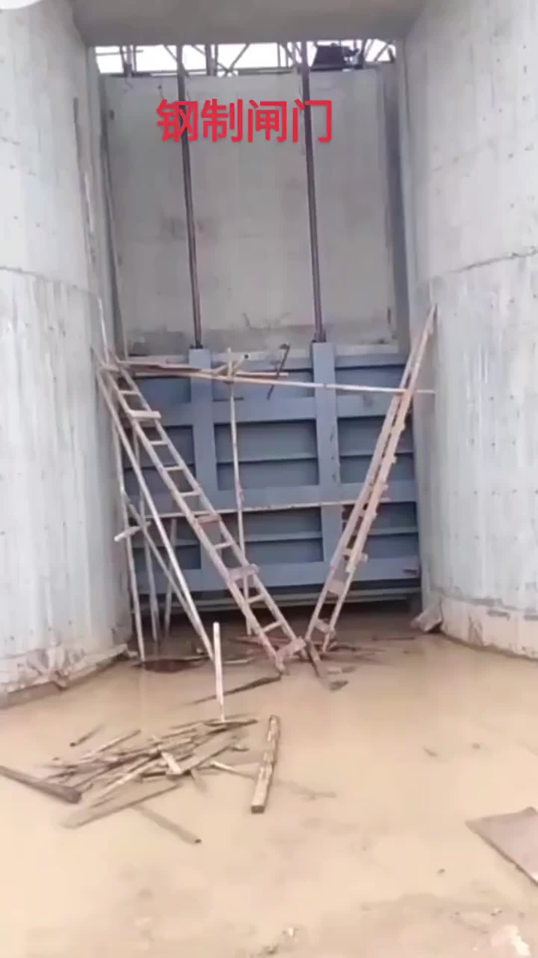 视频
