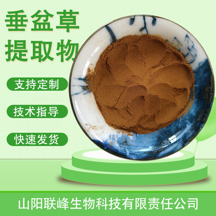 垂盆草提取物 10:1垂盆草粉 狗牙草浸膏 植物萃取原料