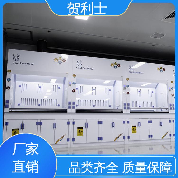 PP净气型通风柜 结构牢固可靠 匠心优选 多年经验 抗冲击 贺利士