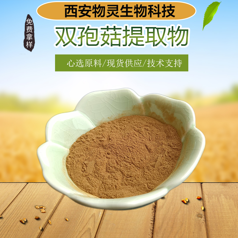 双孢菇提取物 10:1 水溶浓缩粉 食品级菌类提取物 资质齐全物灵生物