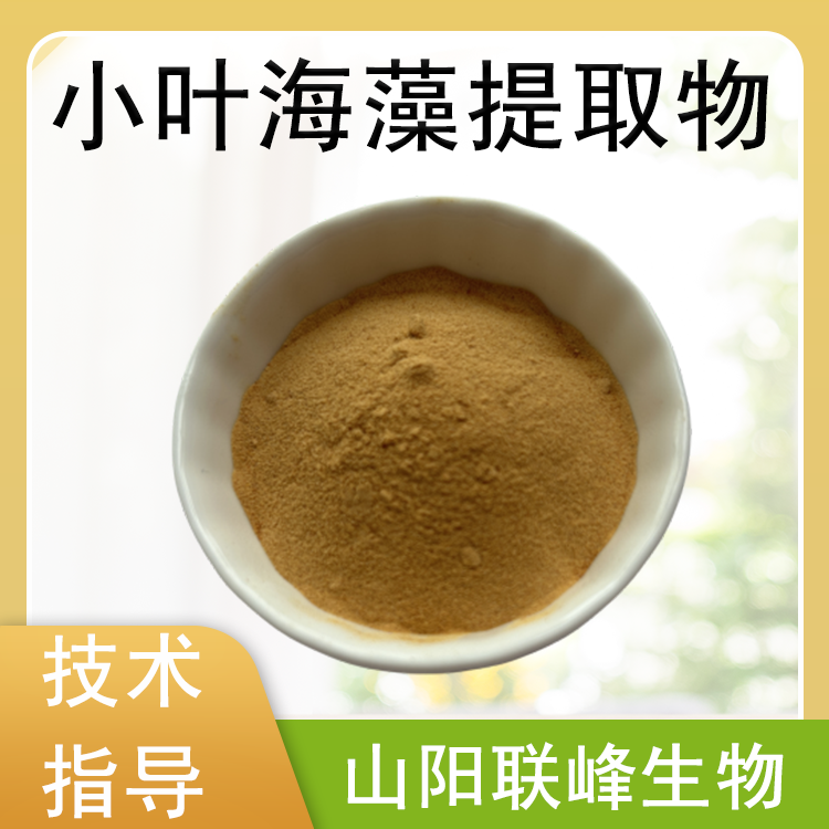 小叶海藻提取物 浓缩粉 含海藻多糖 食品原料 联峰生物 可定制 资质齐全