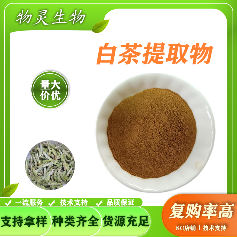 白茶提取物 水溶萃取浓缩粉 浸膏喷雾干燥 支持多规格