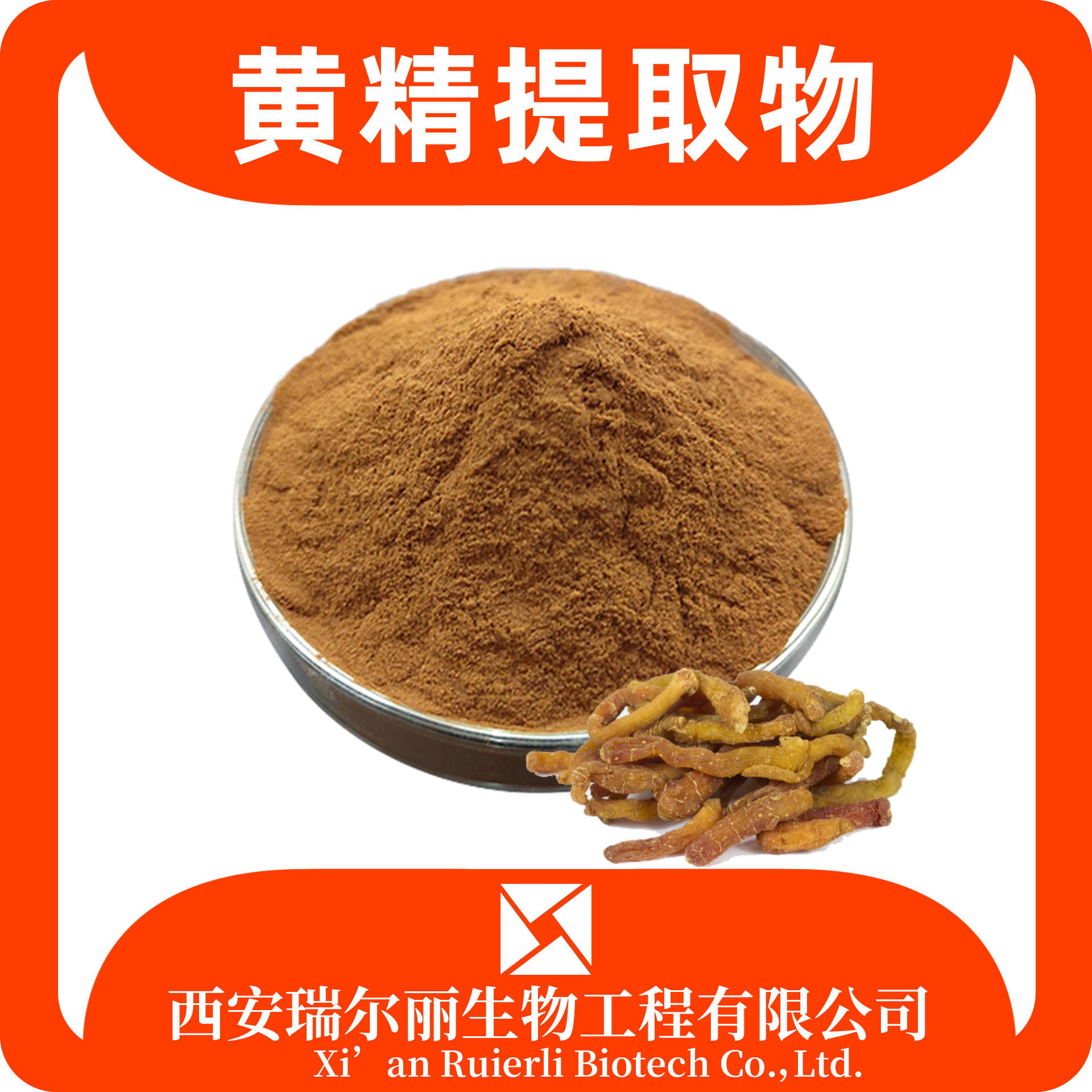 黄精提取物10：1 黄精多糖 黄精粉 黄鸡菜粉 SC证 可定制 瑞尔丽生物