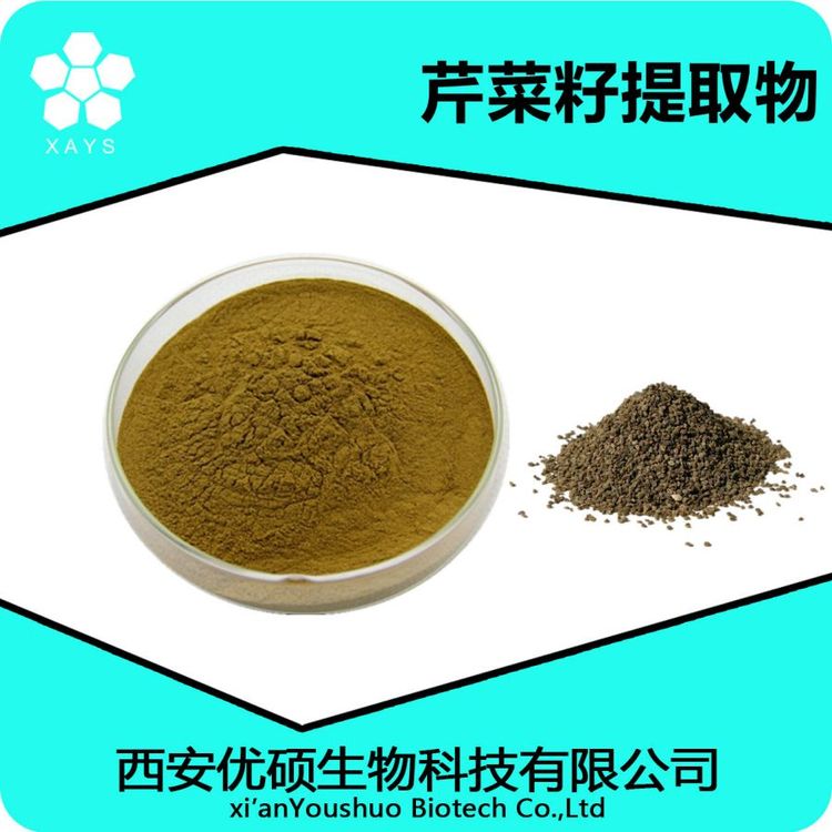 芹菜籽提取物 水溶芹菜籽粉 浓缩粉 可塑性高 应用领域广泛 优硕生物