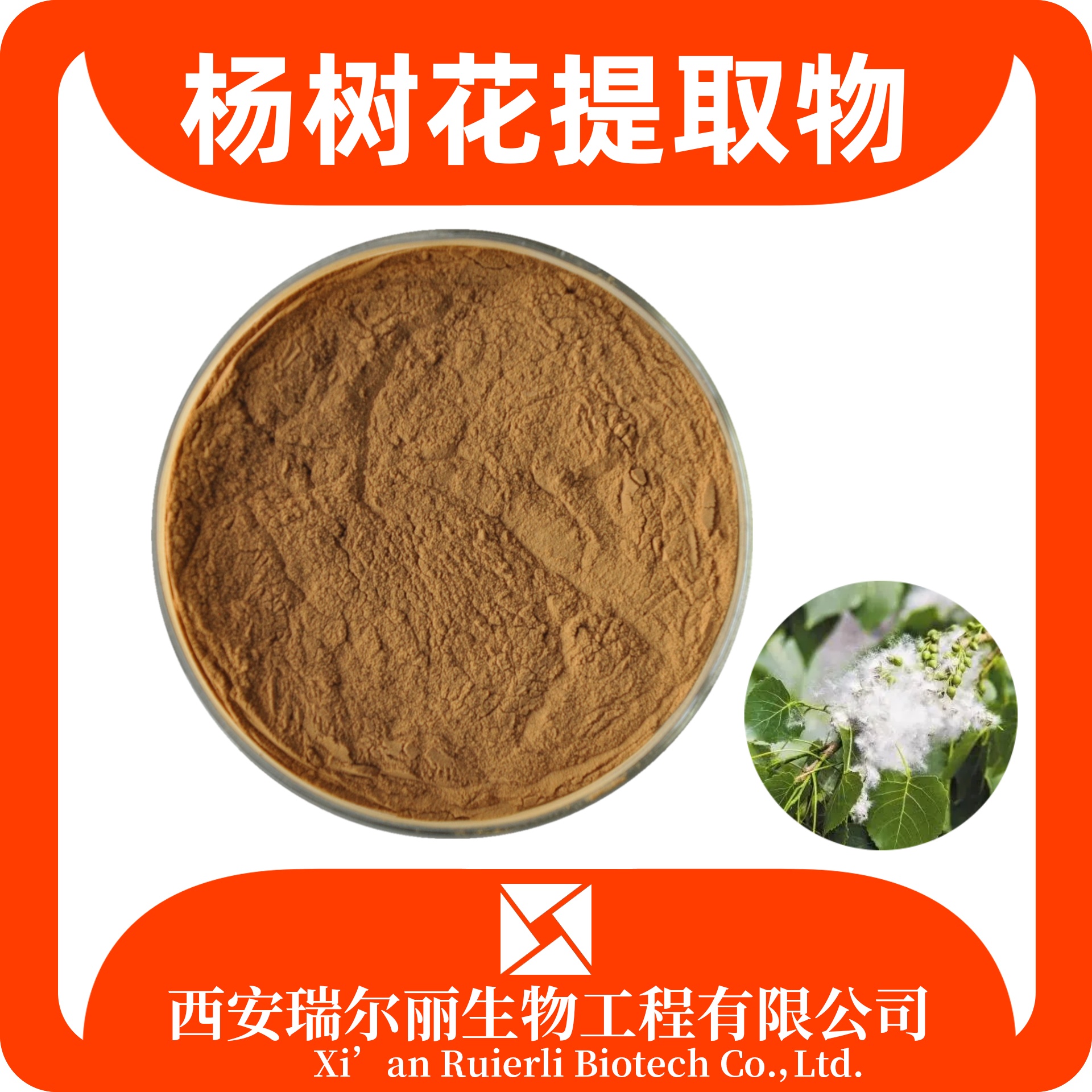 杨树花提取物10:1 水溶杨树花粉 速溶浓缩粉 源头厂家 SC证瑞尔丽生物