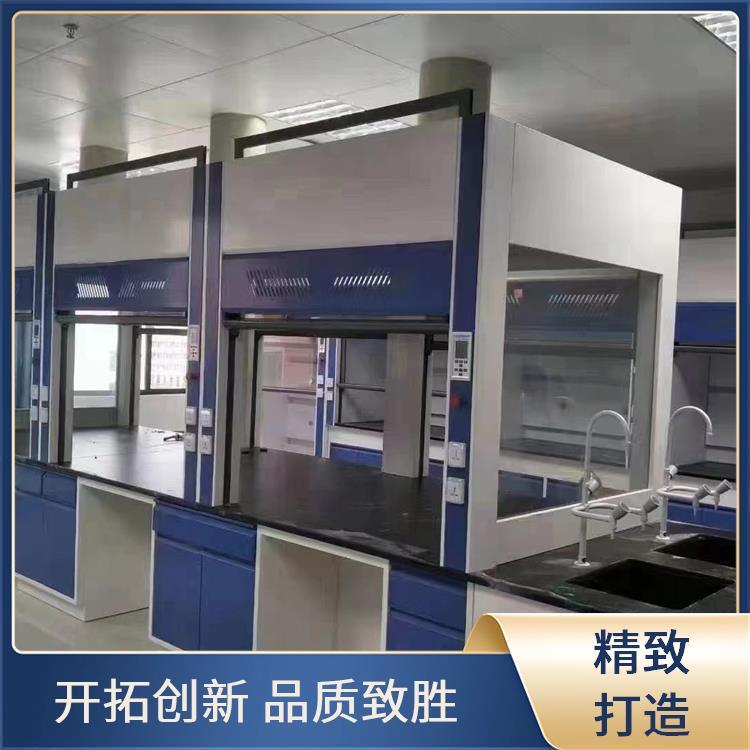 实验室设备 通风柜 通风橱 智能管控省时省力 支持定制 尚嘉