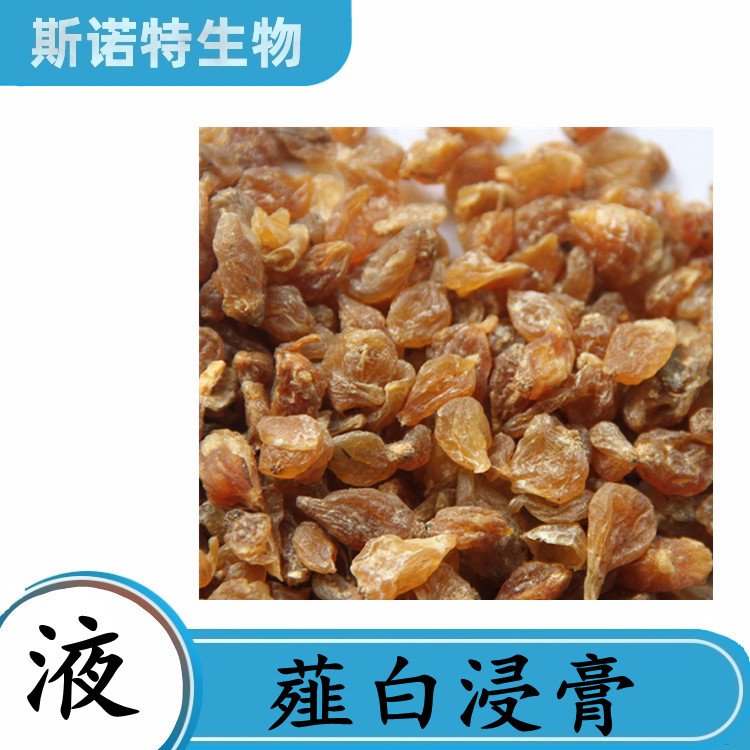 薤白浸膏 斯诺特生物可拆包定制 25公斤纸板桶