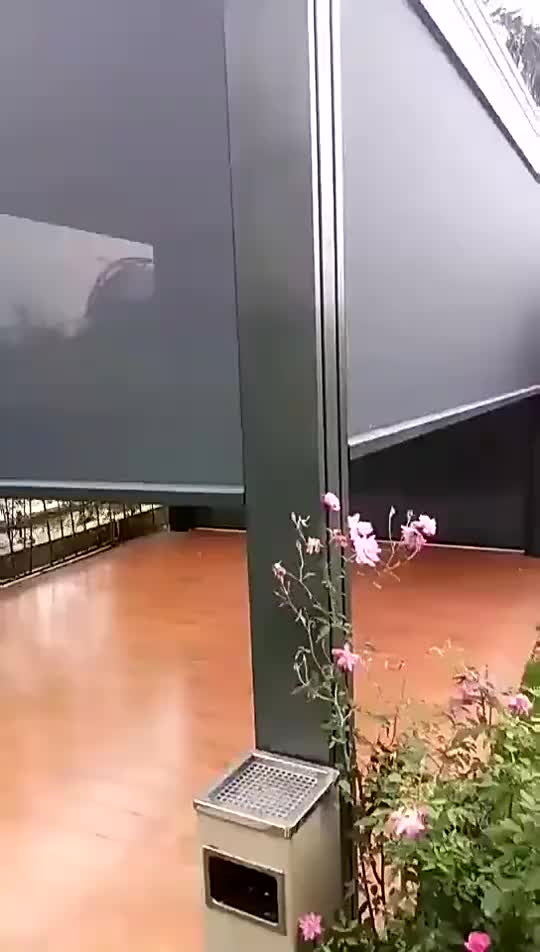 视频