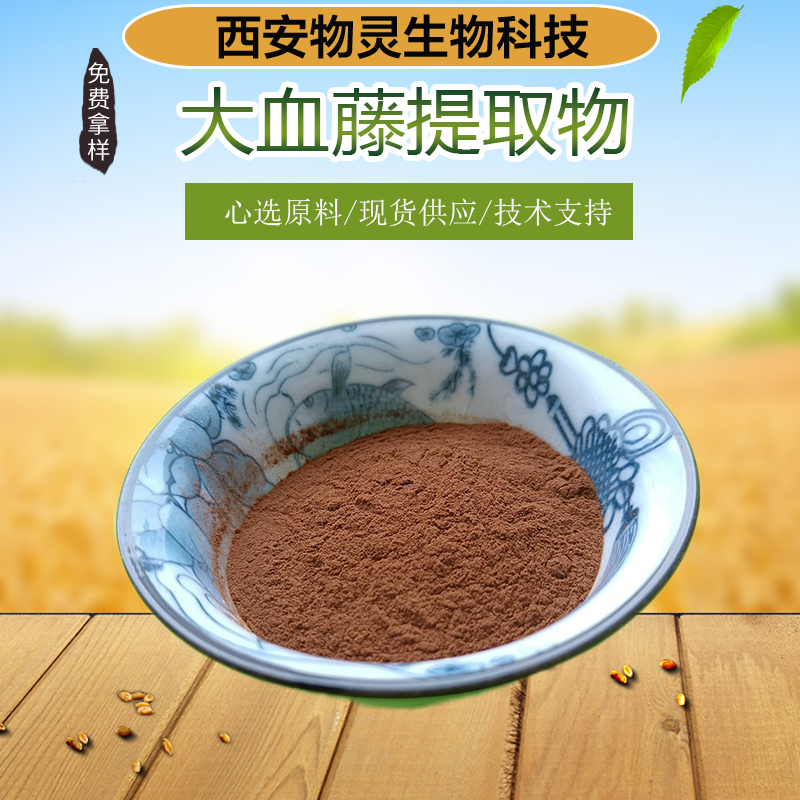 大血藤提取物 10:1速溶红藤浓缩粉 喷雾干燥 可定制 支持拿样 物灵生物