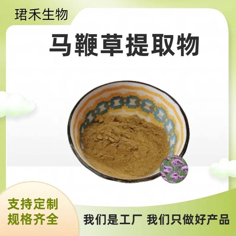 马鞭草提取物10:1 速溶马鞭草浓缩粉 浸膏 喷雾干燥 可定制