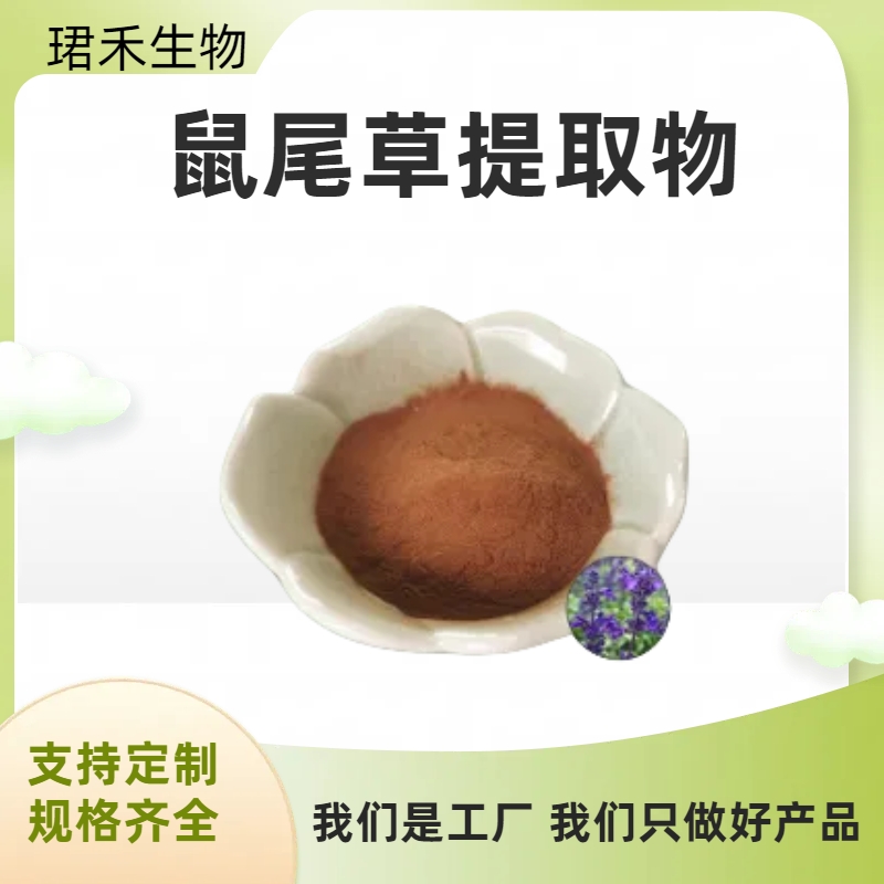 鼠尾草提取物 速溶浓缩粉 浸膏 水溶性好 食品级原料 可定制规格