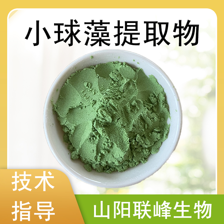 蛋白核小球藻提取物 小球藻粉 水溶原料 喷雾干燥工艺 80目