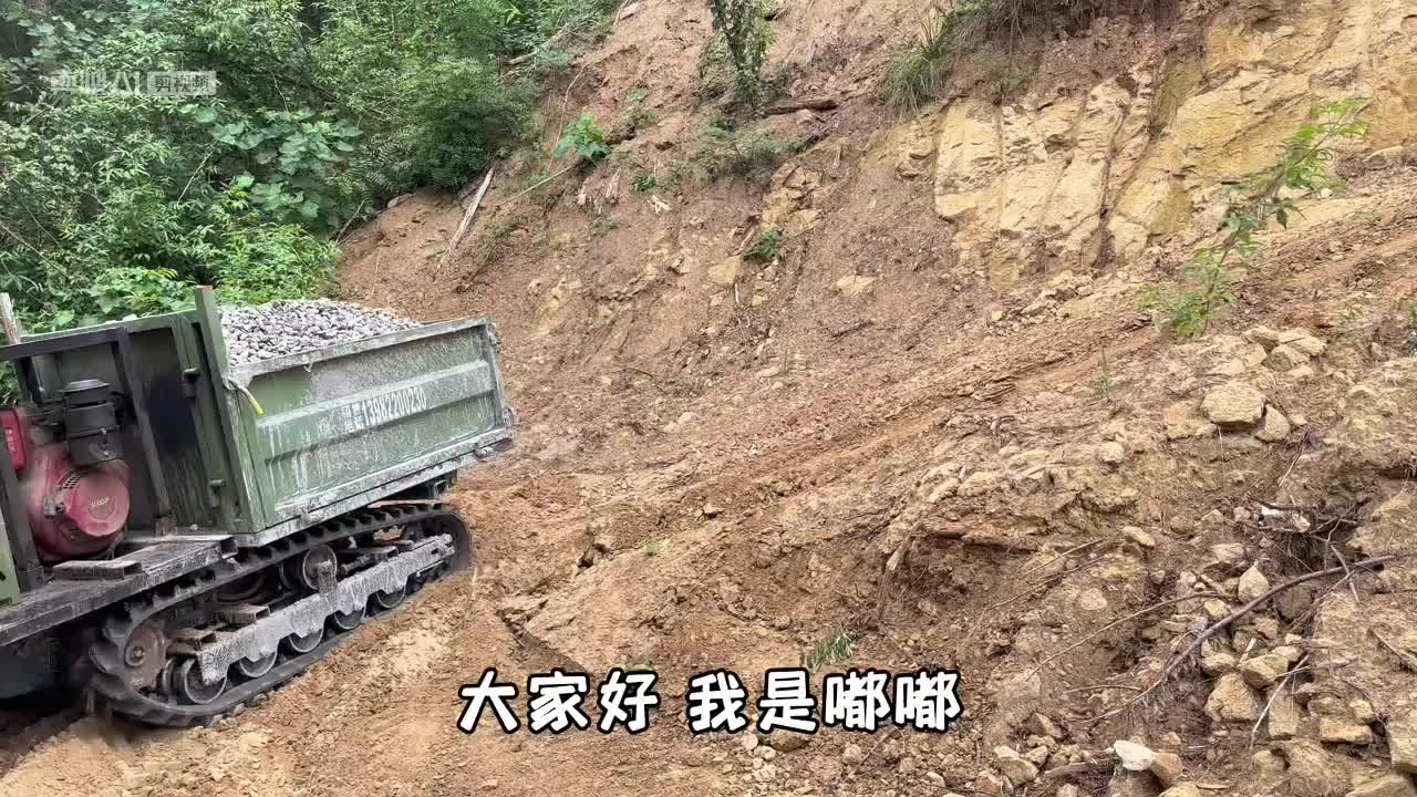 视频