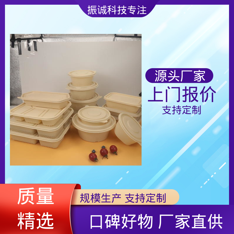 振诚科技 一次性打包盒 加厚 一荤两素套餐碗 可微波炉加热