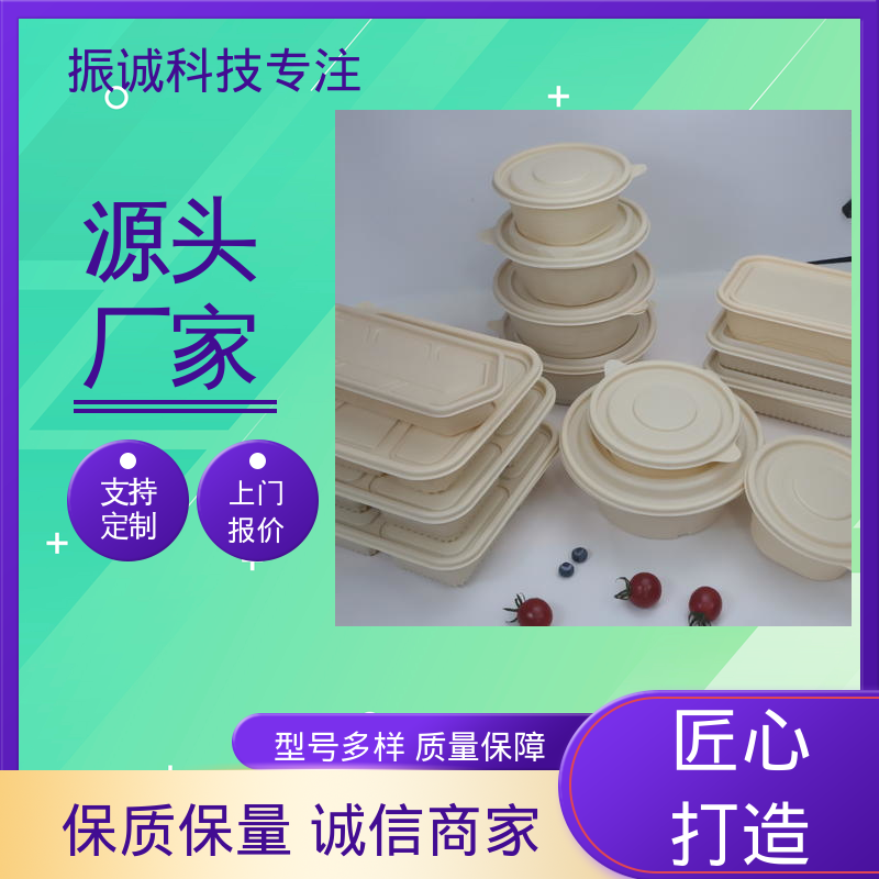 振诚科技 儿童带餐便携环保 加厚 五格餐盒 外卖打包盒
