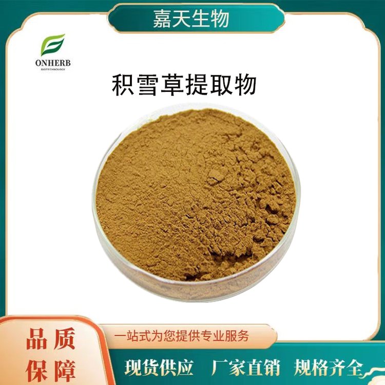积雪草提取物10:1 50:1 多规格 积雪草萃取 积雪草粉 新资源食品