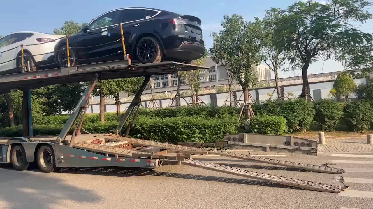 视频