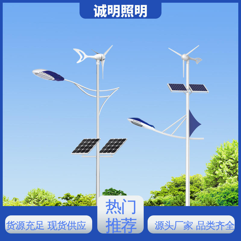 新农村道路亮化 6米8米 led太阳能路灯生产厂家 智能光控100W高亮款