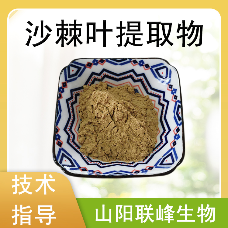 沙棘叶提取物 10：1水溶浓缩粉 沙棘叶粉 食品饮料原料