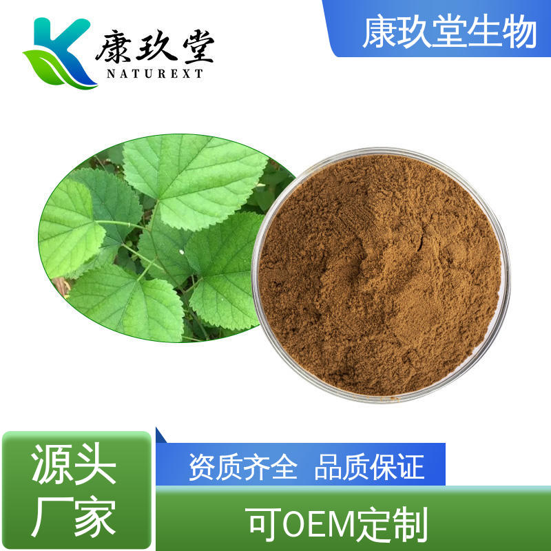 Mulberry Leaf Extract 资质齐全 棕红色粉末 桑叶植物提取物 康玖堂