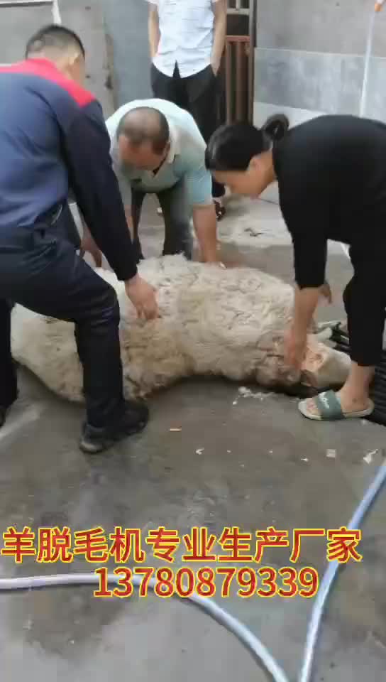 视频