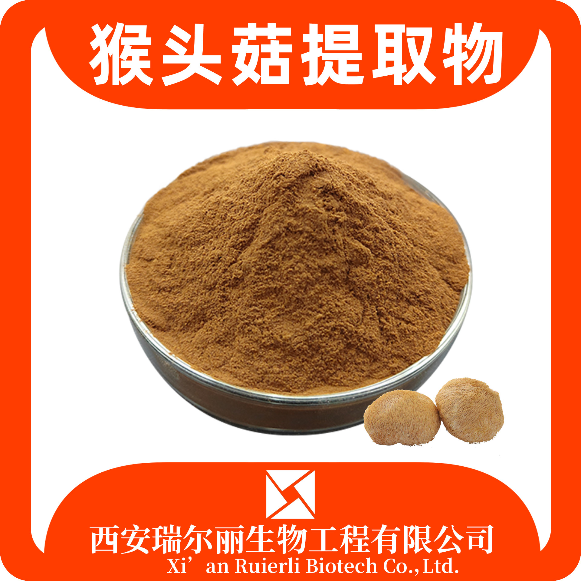 猴头菇提取物 速溶猴头菇粉 sc证 可定制 瑞尔丽生物 源头工厂