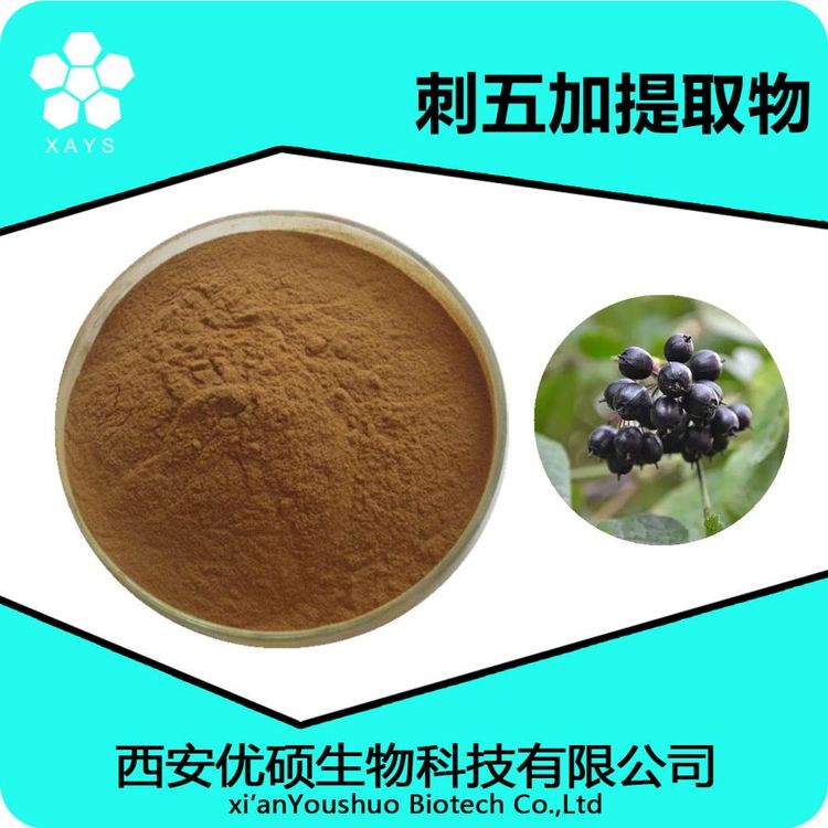 刺五加提取物 速溶刺五加粉 浓缩粉 可塑性高 应用领域广泛 优硕生物