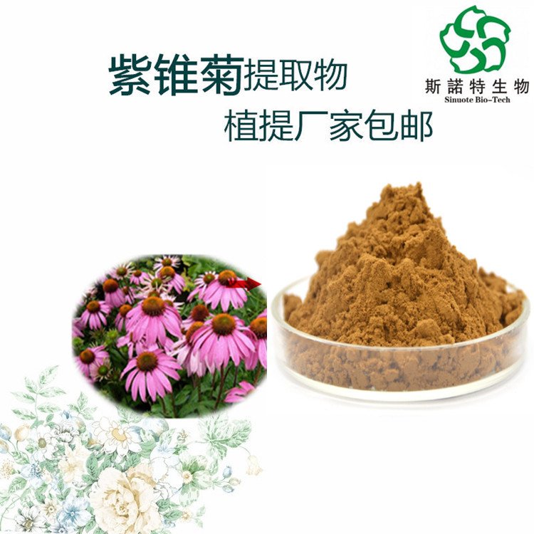 斯诺特 紫锥菊提取物 多酚含量4% 大量库存 货源稳定