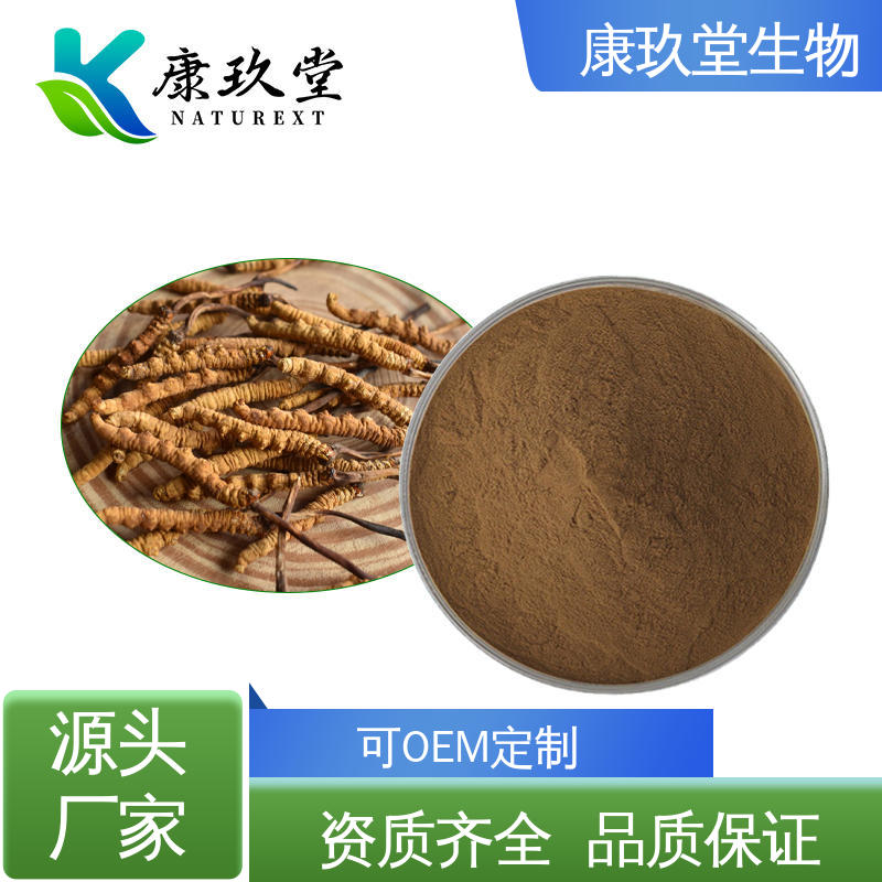 康玖堂 Cordyceps Extract 棕色粉末 蛹虫草植物提取物 资质齐全