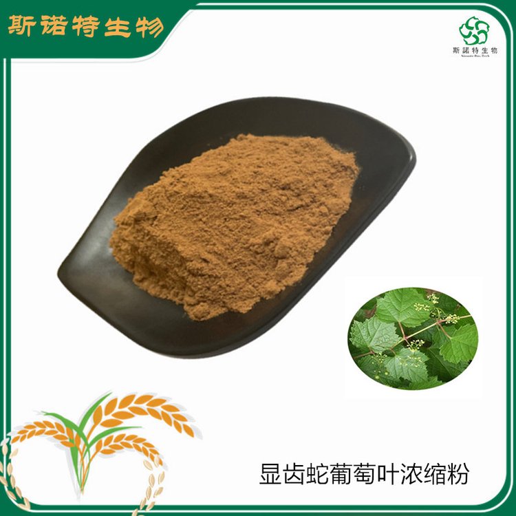 显齿蛇葡萄叶提取物 浓缩藤茶粉 溶于水 1KG起订