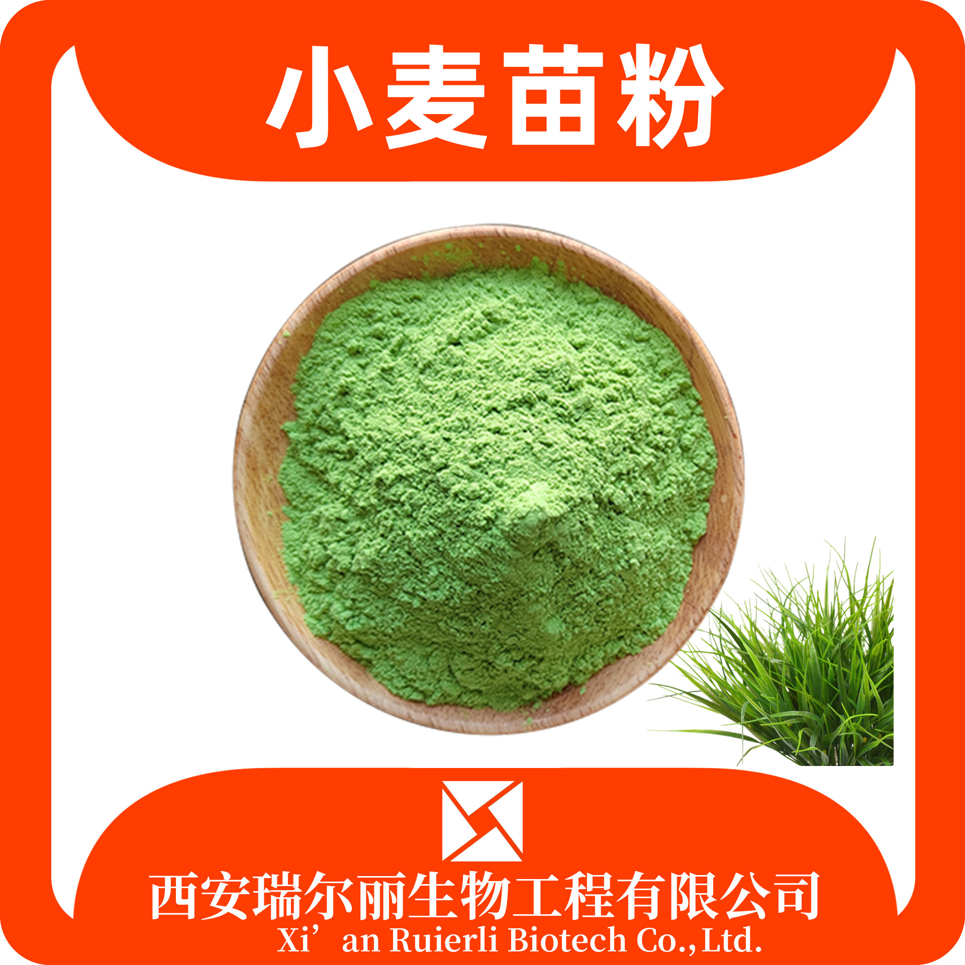 小麦苗粉99% 食品级 小麦苗汁粉 速溶浓缩 SC证可定制 源头工厂