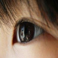 新视元视力康复