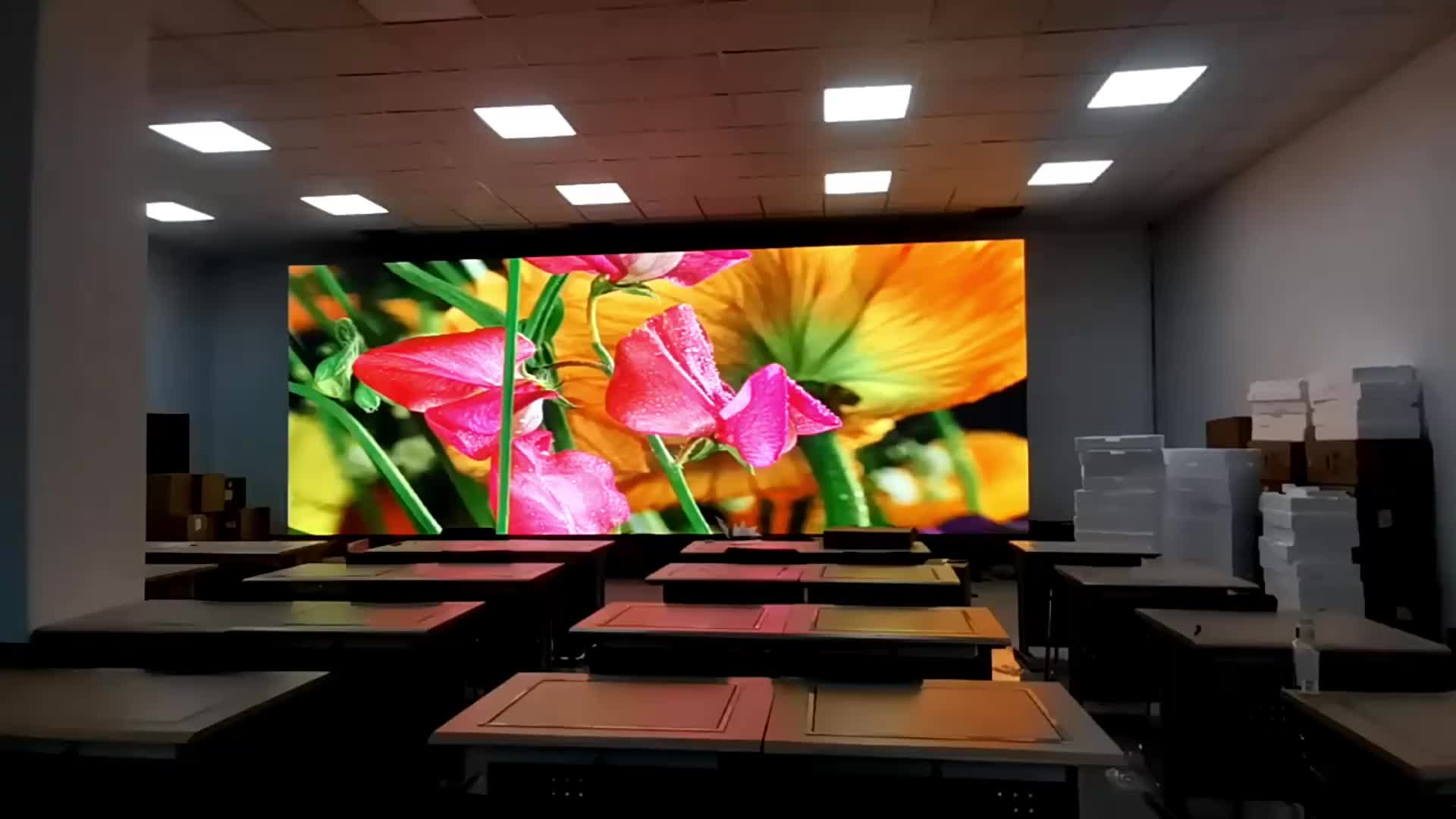 视频