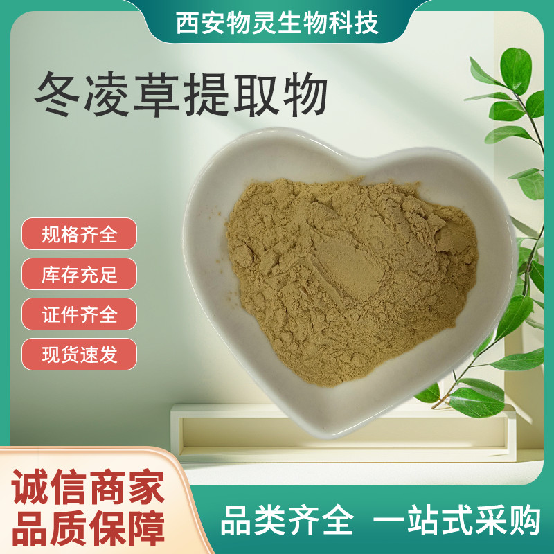 冬凌草提取物 水溶比例冰凌草浓缩粉 植物提取原料 80目