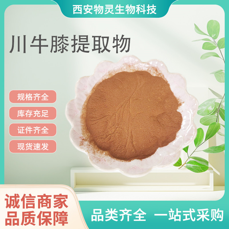 川牛膝提取物 牛膝多糖 10:1浓缩粉 水溶性好 可定制规格
