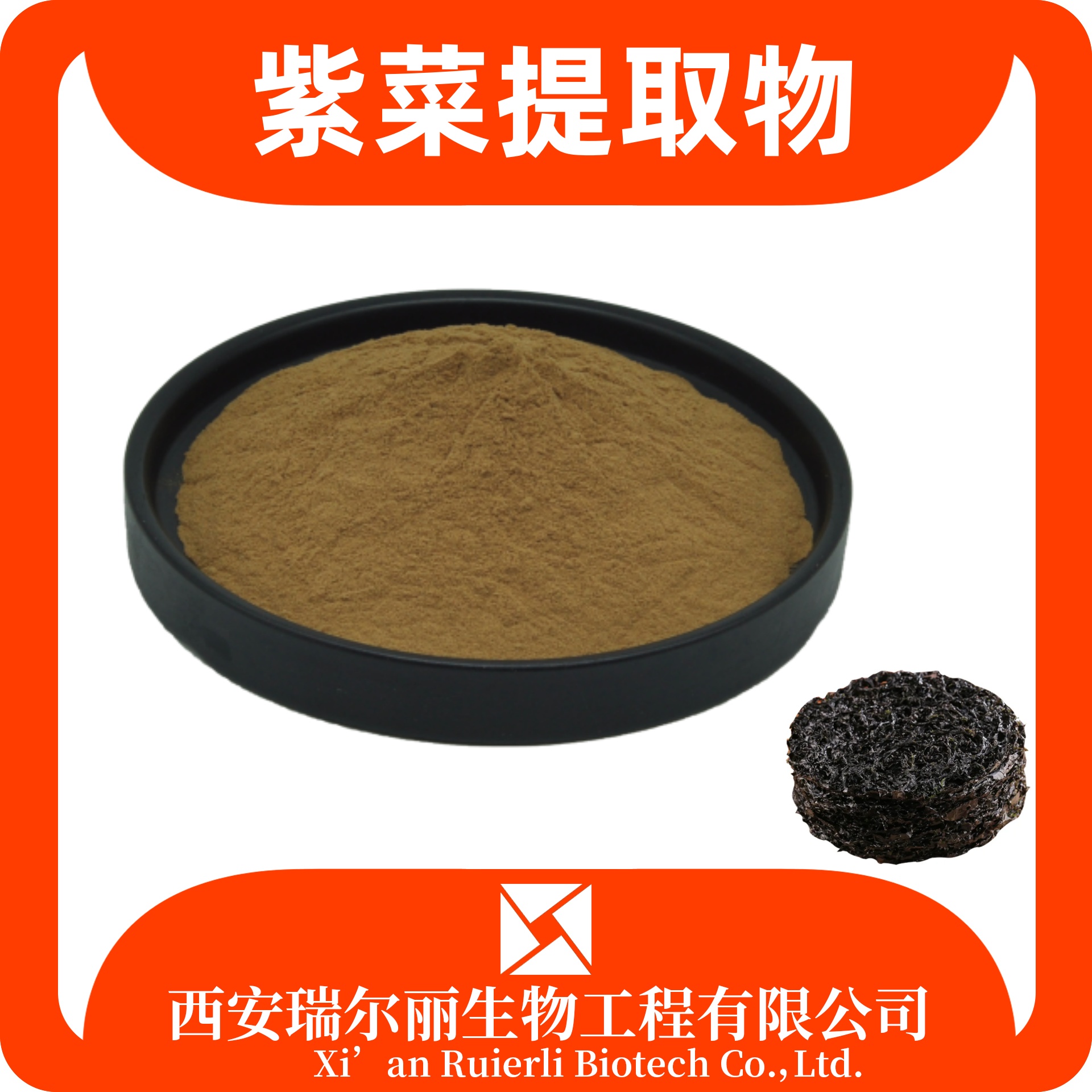 紫菜提取物 速溶紫菜粉 SC证可定制 食品级原料 瑞尔丽生物 源头厂家